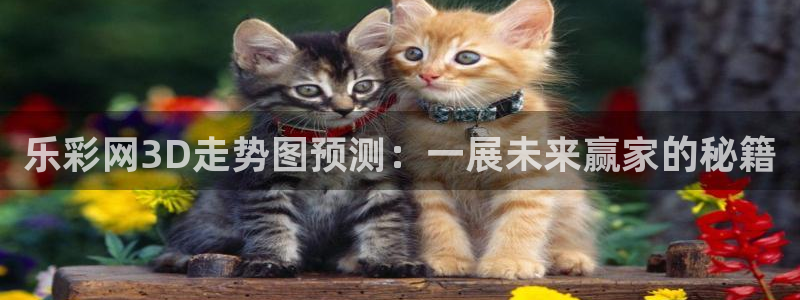 鼎点娱乐5注册：乐彩网3D走势图预测：一展未来赢家的秘籍