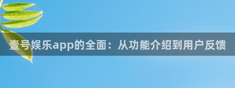 鼎点娱乐股份：壹号娱乐app的全面：从功能介绍到用户反馈