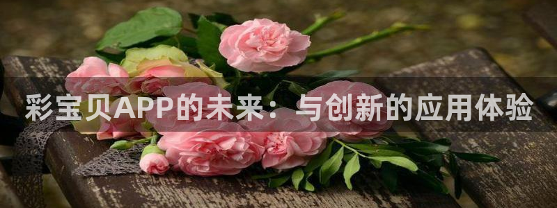 东莞市鼎点娱乐电子科技有限公司：彩宝贝APP的未来：与创新的应用体验
